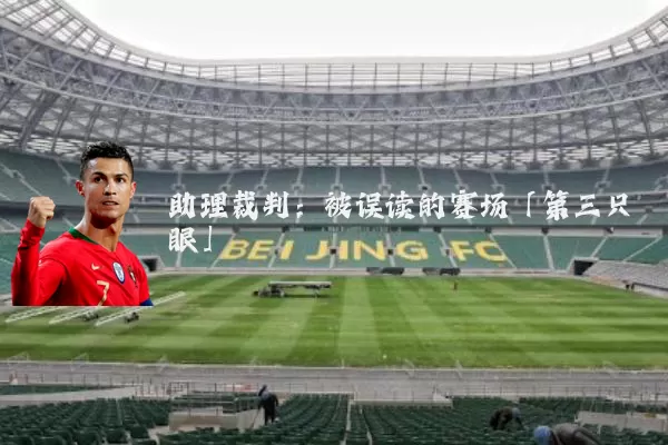 助理裁判：被误读的赛场「第三只眼」